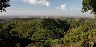 Herdade da Contenda representa Portugal no Prémio Europeu da Paisagem