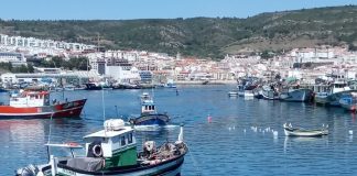 Lota de Sesimbra continua a liderar as pescas a nível nacional