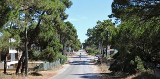 Almada avança com empreitada da Avenida do Mar na Aroeira