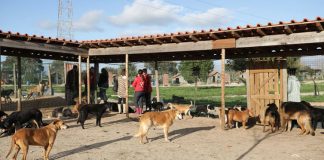 Município de Alcácer do Sal apoia Cantinho da Milú com 1.500 euros