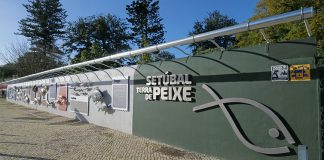 Fauna marítima do Sado embeleza muro do antigo Externato Diocesano de Setúbal