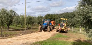 Sousel repara caminhos rurais e repavimenta artérias da Casa Branca