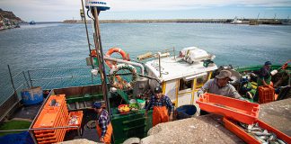 Câmara de Sesimbra envia carta aberta a exigir melhoria de acessos ao porto de abrigo