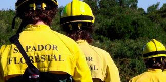 Almada aposta na prevenção de incêndios com Equipa de Sapadores Florestais