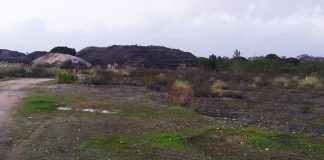 Zero alerta para demora na remoção dos resíduos perigosos do Vale da Rosa em Setúbal