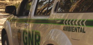 GNR apreende 14 meios de caça proibidos no Montijo