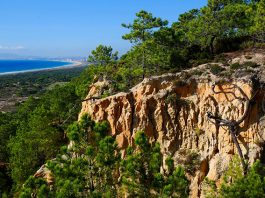 Autarquia de Almada e ICNF unem esforços na proteção da Arriba Fóssil