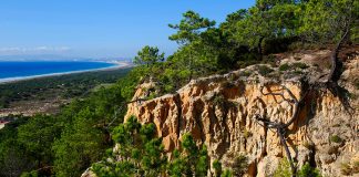 Autarquia de Almada e ICNF unem esforços na proteção da Arriba Fóssil