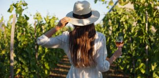 Rota dos Vinhos atraiu 150 mil turistas aos enoturismos no ano passado