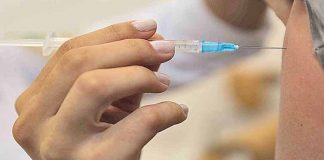 Farmácias de Setúbal administraram gratuitamente vacina contra a gripe a 2500 pessoas