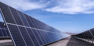 Petição da população tenta travar mega central fotovoltaica em Santiago do Cacém