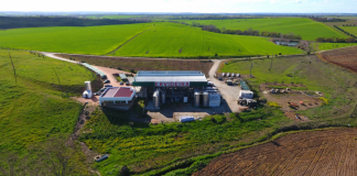 Adega Ervideira no Alentejo vende menos mas fecha 2020 com lucro