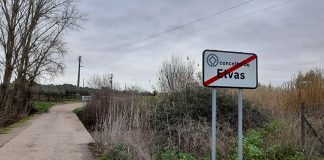 Elvas requalifica estrada da Amoreirinha