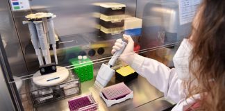 Politécnico de Setúbal testa comunidade académica no IPS Covid Lab