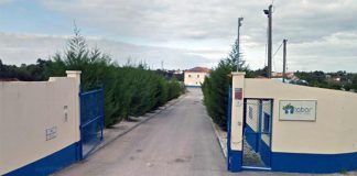 Tabor de Setúbal discorda, mas tem de receber de volta suspeitos de homicídio