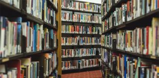 Grândola comemora Dia da Rede Nacional de Bibliotecas Públicas com leituras online