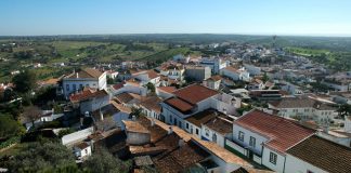 Empresa portuguesa vai produzir tijolos de cânhamo em Ourique