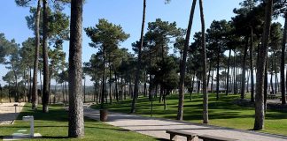 Sesimbra estabelece plano de reabertura de equipamentos e espaços municipais