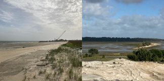 Teporset garante recuperação da pradaria afetada nas dragagens de janeiro