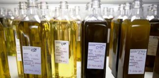 Concurso Internacional de Azeites Virgem Extra recebeu mais de uma centena de amostras