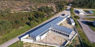 Centro de Recolha Oficial de Animais de Companhia de Sesimbra abre sexta-feira