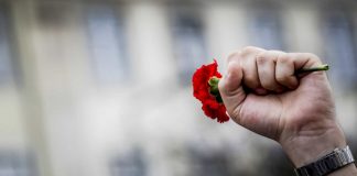 Alcácer do Sal celebra 25 de Abril com animação e iniciativas online