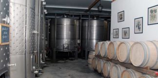 Politécnico de Setúbal desenvolve diagnóstico ao setor do vinho