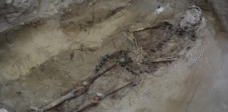 Tesouro arqueológico raro em Sarilhos Grandes reabre teorias alimentares