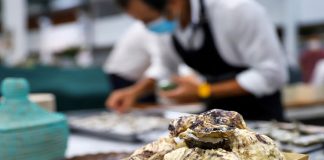Semana da Ostra dá início ao programa Setúbal Terra de Peixe
