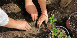 Crianças do ATL Palmo e Meio da cidade sadina plantaram arbustos