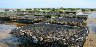 Aquacultores de Setúbal apreensivos com novas regras de licenciamento