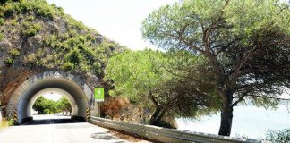 Obra de reabilitação de arribas na Arrábida reagendada para setembro