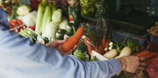 Grândola lança novo programa de incentivo ao comércio local