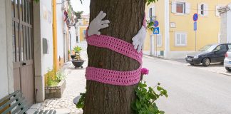 Moradores de Vendas de Azeitão dão nova vida à Rua Miguel Bombarda