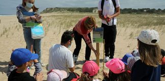 Grândola protege zonas especiais de nidificação na Lagoa de Melides