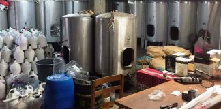 Desmantelado circuito de venda ilegal de bebidas não alcoólicas em Setúbal, Lisboa e Santarém