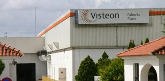 Trabalhadores da Visteon de Palmela em greve por aumentos salariais