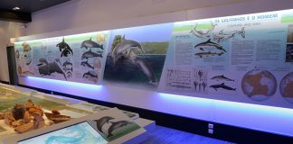 Setúbal assinala Dia Mundial dos Oceanos com programa no Estuário do Sado