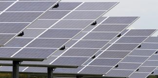 35 milhões implementam central fotovoltaica em Palmela