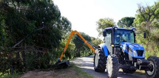 Grândola efetua limpeza das faixas de gestão de combustível