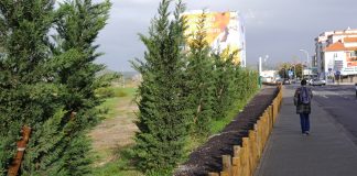 Setúbal reforça manutenção do património natural do concelho