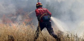 Mais de 80 operacionais e 4 aviões combatem fogo em Santiago do Cacém