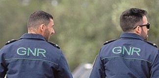 Empresas de Setúbal forneceram identificação de estrangeiros para fugir a multas