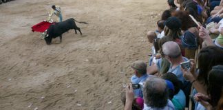 Festas de Barrancos canceladas pelo segundo ano consecutivo