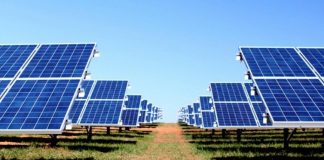 Movimento repudia aprovação de Central Solar em Cercal do Alentejo