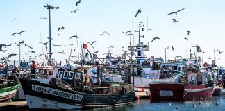 Pescadores perdem cada vez mais espaço para praticar a pesca do cerco