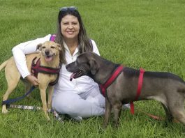 Seixal promove terceira edição da Festa do Bem-Estar Animal