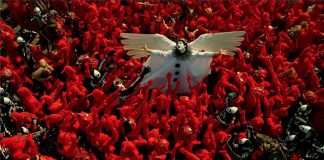 MOTELX chega à cidade sadina com propostas para os mais novos