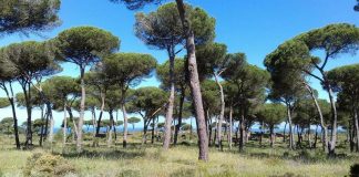 Moradores do Meco desfilam contra empreendimentos turísticos