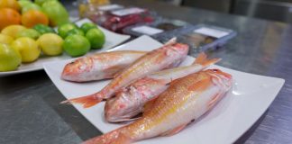 “Semana do Salmonete” regressa aos menus dos restaurantes da cidade sadina